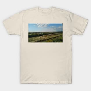 Beautiful fields T-Shirt